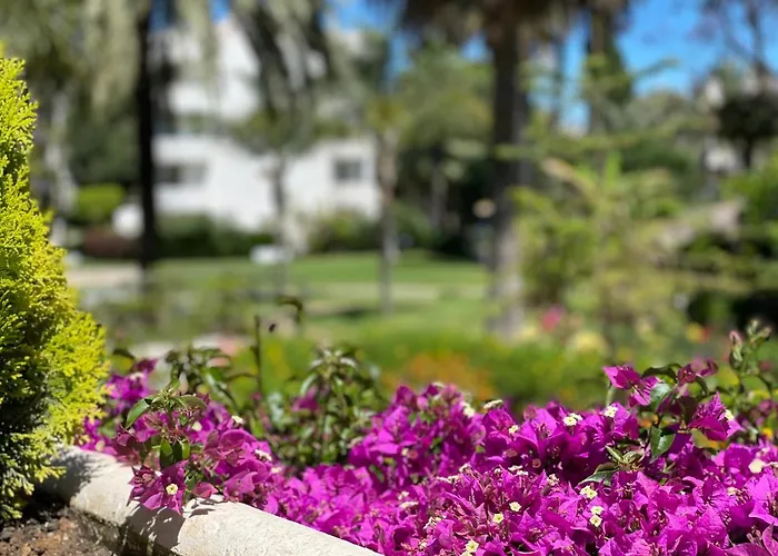 Real Golden Mile -eaw Homes