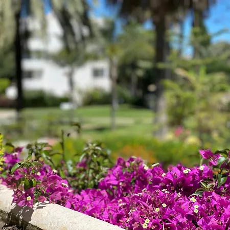 Real Golden Mile -eaw Homes