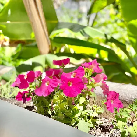 Real Golden Mile -eaw Homes Apartment Marbella