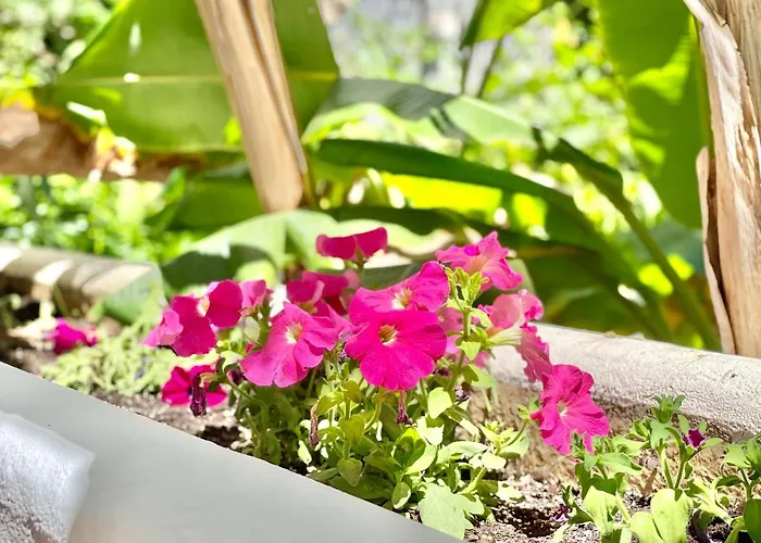 Real Golden Mile -eaw Homes Apartmán Marbella